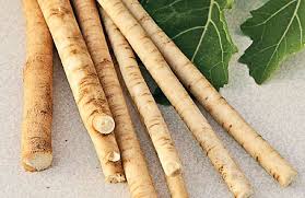 Чем полезен хрен: немного об «остром» секрете для здоровья