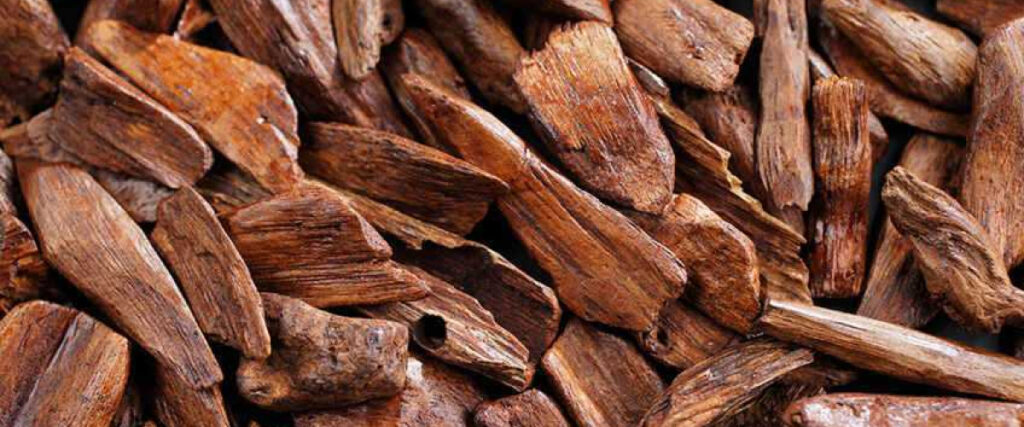 Уд в парфумерії: що це, звідки і чому так цінується