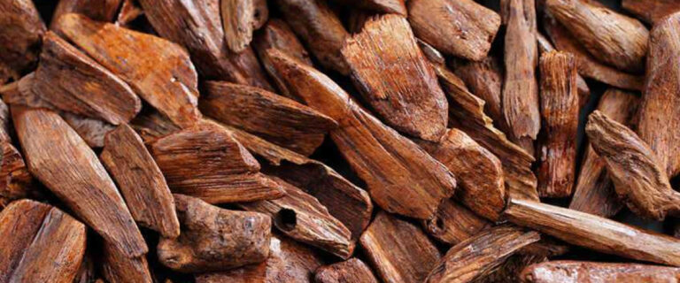 Уд в парфумерії: що це, звідки і чому так цінується