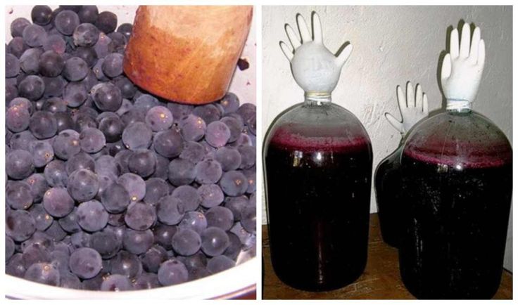 Вино з винограду: як зробити домашнє виноградне вино від ягід до келиха