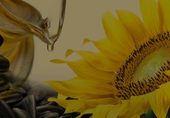 bg-header-page-object-oliya